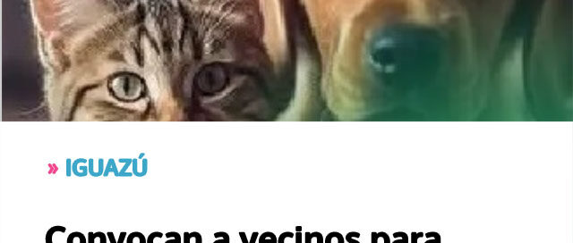 IGUAZÚ: Convocan a vecinos para turnos de castración gratuita en el marco del programa de control poblacional